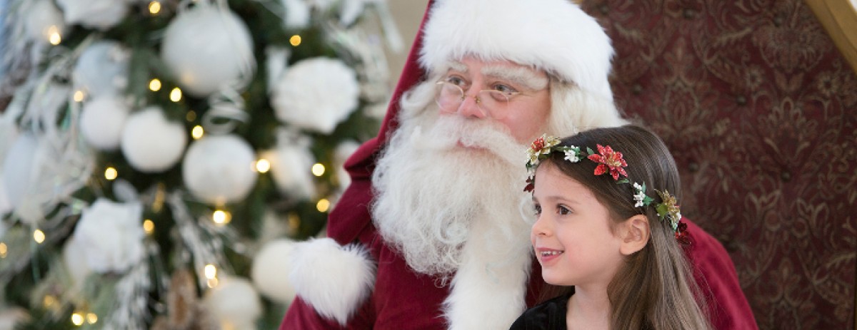 Image result for pictures of A John Williams Family Christmas